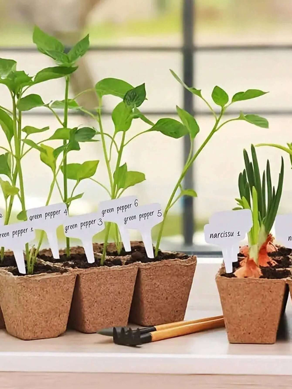"50-Pack Waterproof T-Shaped Plant Labels for Garden and Potted Plants"-Allen Cozy Haven Store