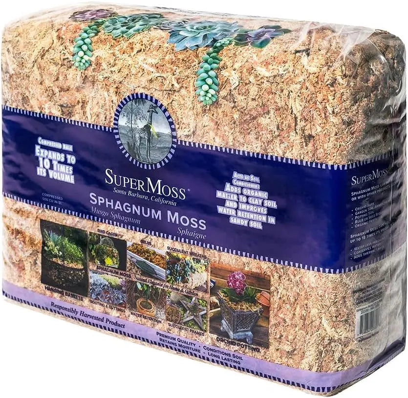 Orchid Sphagnum Moss - Dried Natural 8 oz-Allen Cozy Haven Store