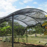 UV Resistant Fabric for Superior Sun Protection-Allen Cozy Haven Store