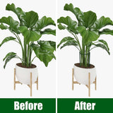 6-Pack Metal Garden Plant Support Stakes - 10" Wide x 16" High Green Half-Round Support Rings for Potted Plants, Ideal for Tomatoes and Hydrangeas-Allen Cozy Haven Store