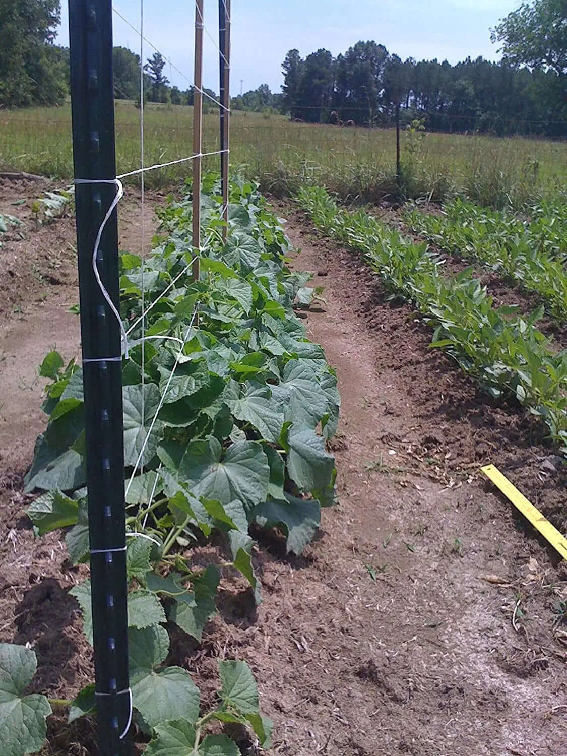 6300FT Premium Tomato Tying Garden Twine-Allen Cozy Haven Store
