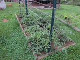 6300FT Premium Tomato Tying Garden Twine-Allen Cozy Haven Store