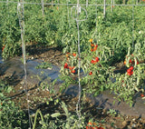 6300FT Premium Tomato Tying Garden Twine-Allen Cozy Haven Store