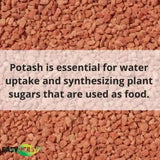 All-Natural Muriate of Potash - Granular Potassium Fertilizer (0-0-60) for Indoor and Outdoor Plants and Yards-Allen Cozy Haven Store