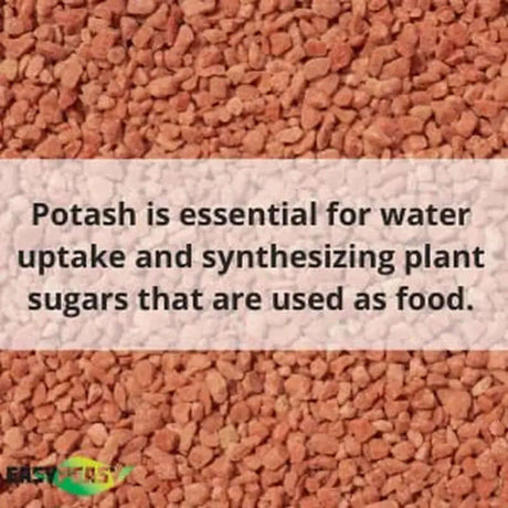 All-Natural Muriate of Potash - Granular Potassium Fertilizer (0-0-60) for Indoor and Outdoor Plants and Yards-Allen Cozy Haven Store