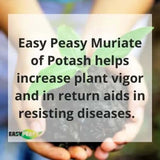 All-Natural Muriate of Potash - Granular Potassium Fertilizer (0-0-60) for Indoor and Outdoor Plants and Yards-Allen Cozy Haven Store