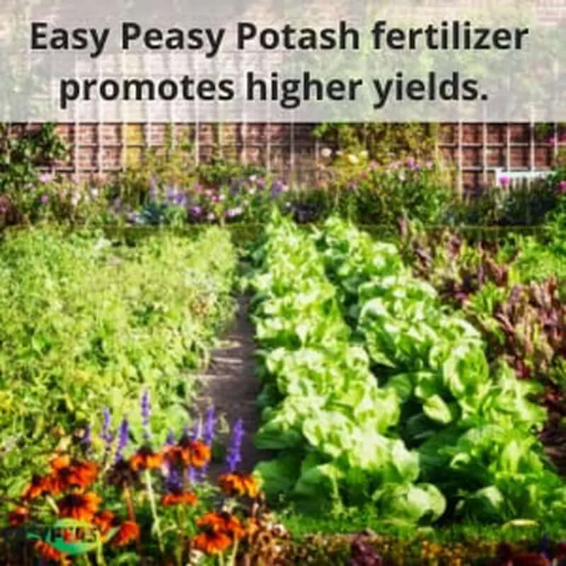 All-Natural Muriate of Potash - Granular Potassium Fertilizer (0-0-60) for Indoor and Outdoor Plants and Yards-Allen Cozy Haven Store