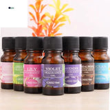 Aromatherapy Essential Oil Humidifier - Allen Cozy Haven Store -  