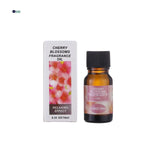 Aromatherapy Essential Oil Humidifier - Allen Cozy Haven Store -  