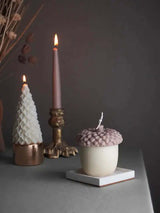 Autumn Acorn Scented Candles: Nature's Cozy Glow Allen Cozy Haven Store