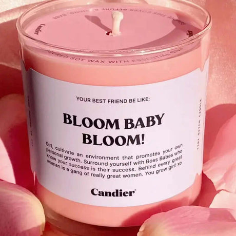 Candier Premium Luxury Scented Candles Allen Cozy Haven Store