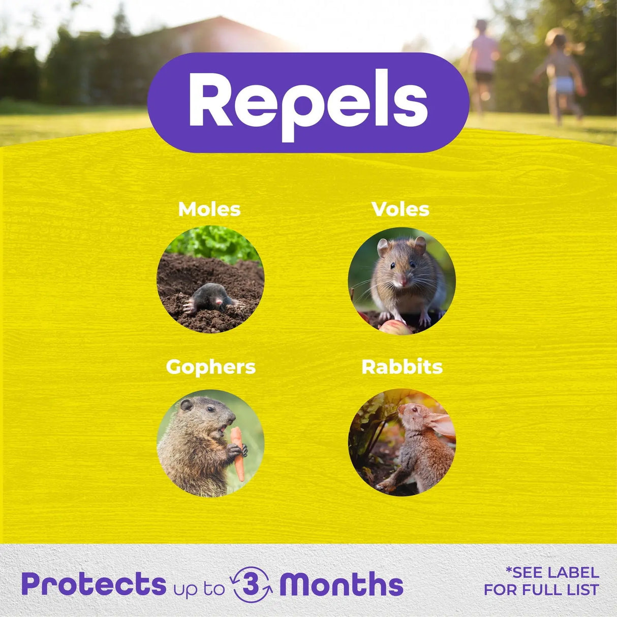 Molemax Ready-to-Use Mole and Vole Repellent Granules, 5 lbs.-Allen Cozy Haven Store