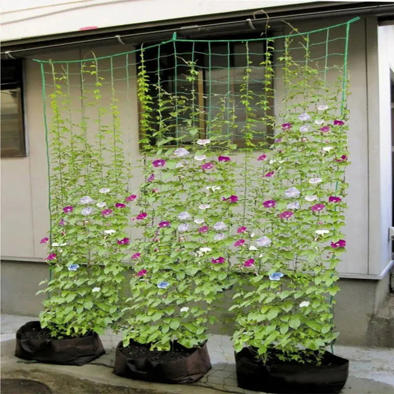 Professional Garden Climbing Net for Morning Glory and Cucumber Vines – Available in Multiple Sizes: 0.9M, 1.8M, 2.7M, and 3.6M-Allen Cozy Haven Store