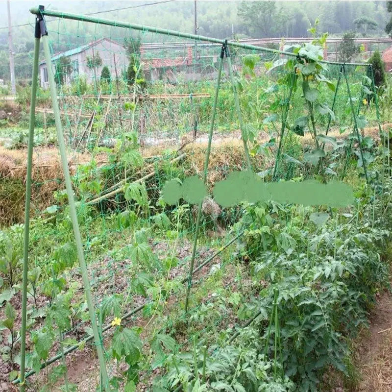 Professional Garden Climbing Net for Morning Glory and Cucumber Vines – Available in Multiple Sizes: 0.9M, 1.8M, 2.7M, and 3.6M-Allen Cozy Haven Store