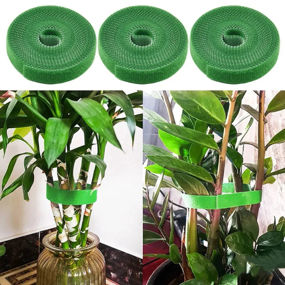 Professional Plant Support Bandage Tie - 5M, 3-Pack, Hook and Loop Wrap for Bamboo Canes in Home Gardens-Allen Cozy Haven Store